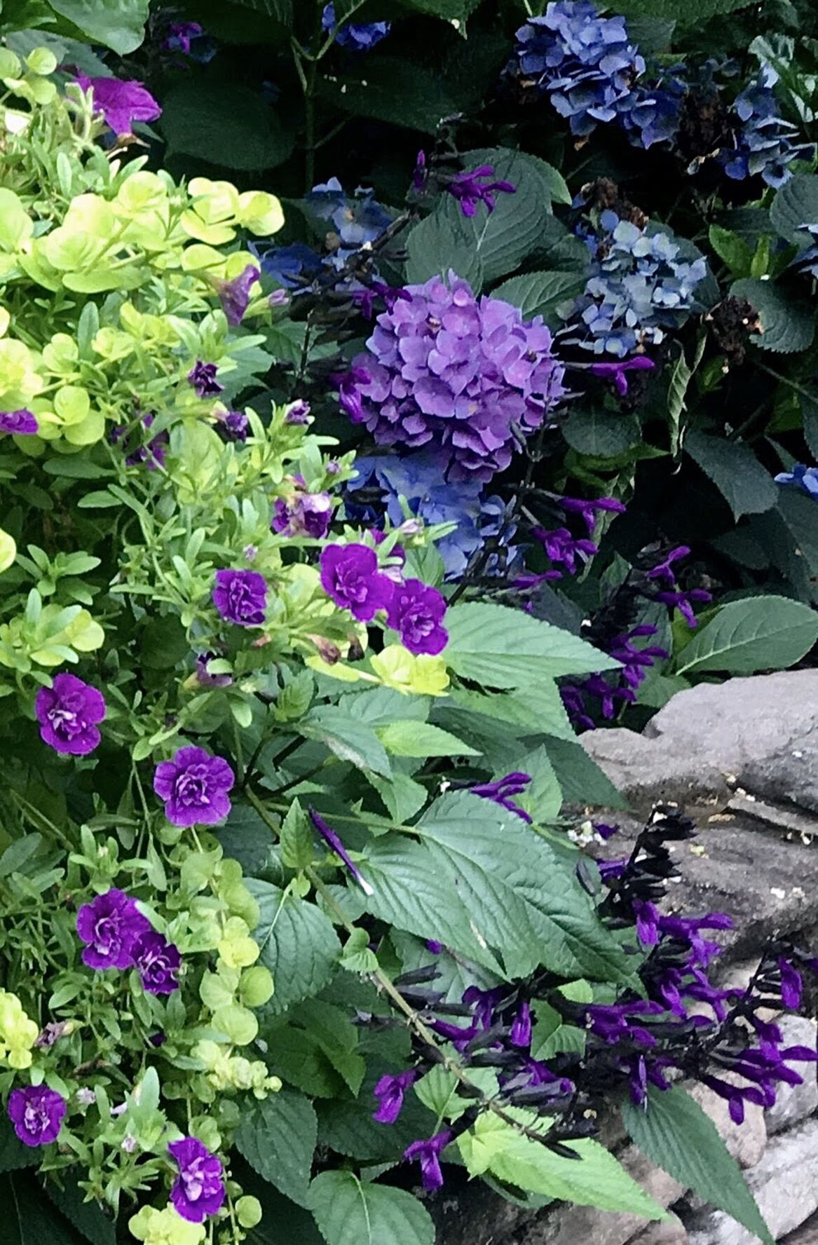 LIFE-HOME-ONGARDENING-1-MCT